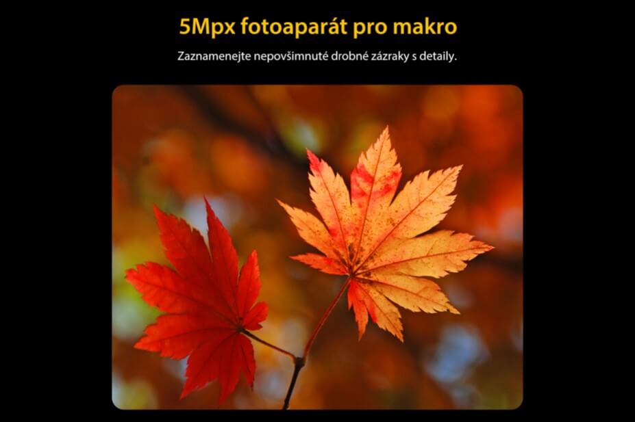 UMIDIGI BISON X10 makro fotka 5MPx